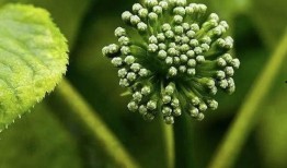 7天在线观看,盘点一周热门影视佳作