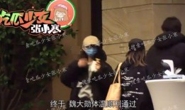 杨幂汪峰最新爆料视频,揭秘娱乐圈背后的真相